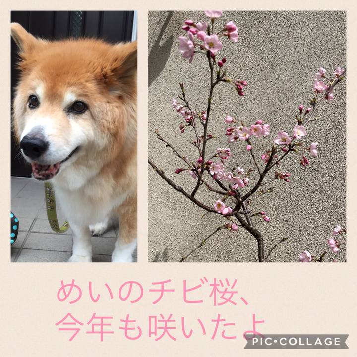 Cc39fa31 3351 46ed 94a4 0e2d0f152d27 1648199039134