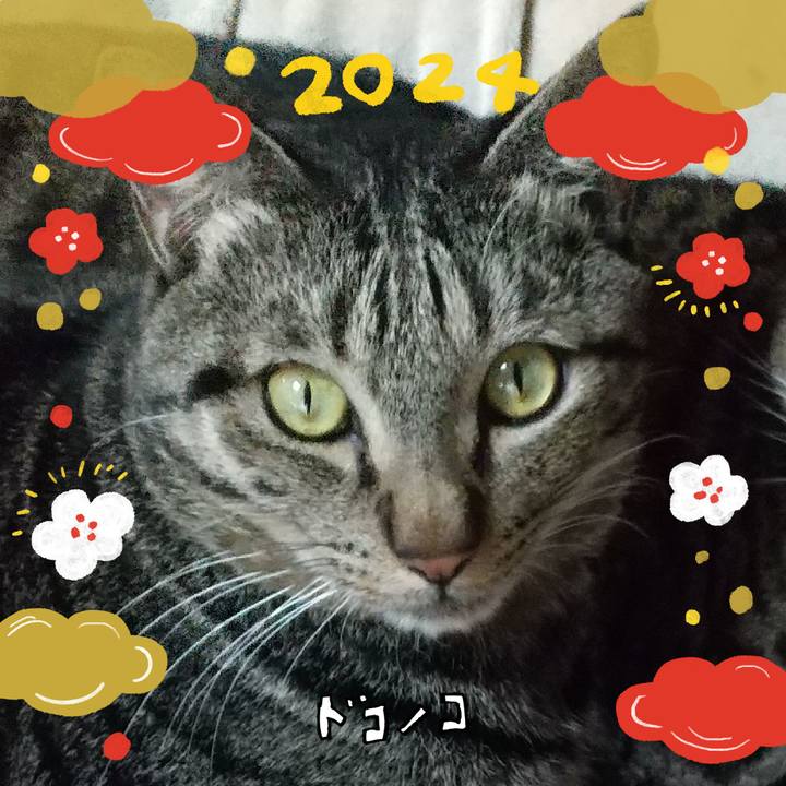 Cc3a214f 191a 4c53 98cc 547c5a757ccf 1704491423631