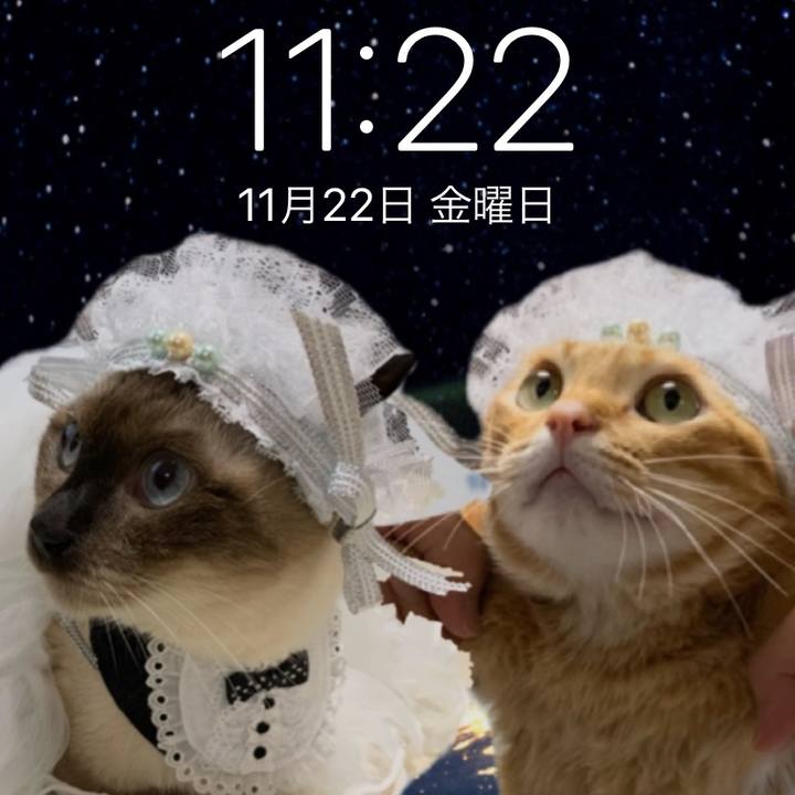 Cc3a28b1 6437 4dfa 8078 9ff9905e5248 1574432703860