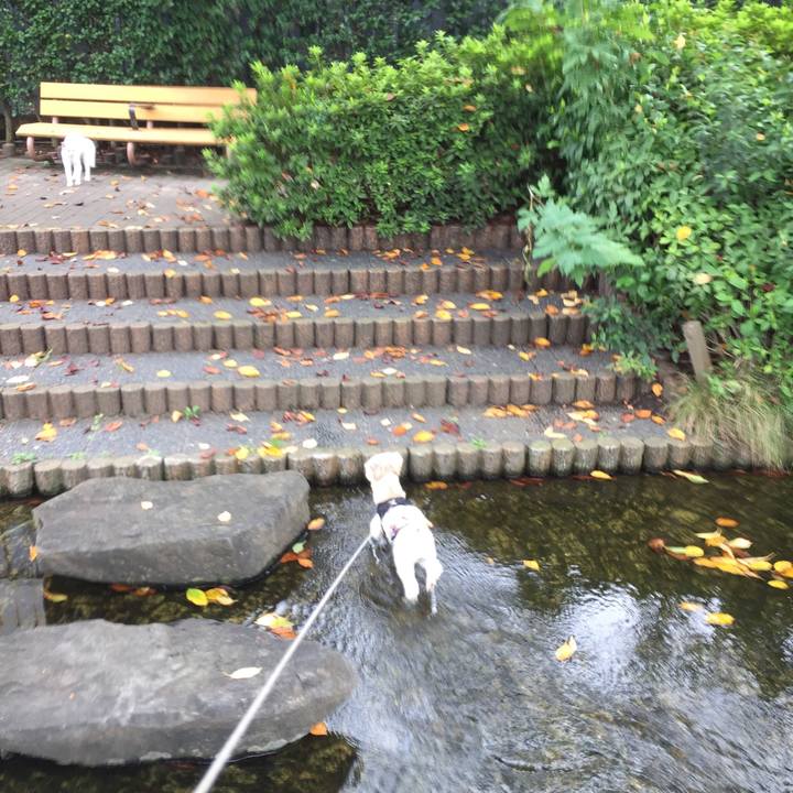 Cc3a4ae6 c479 4a51 abda 2cf180e4d9d8 1537072772491