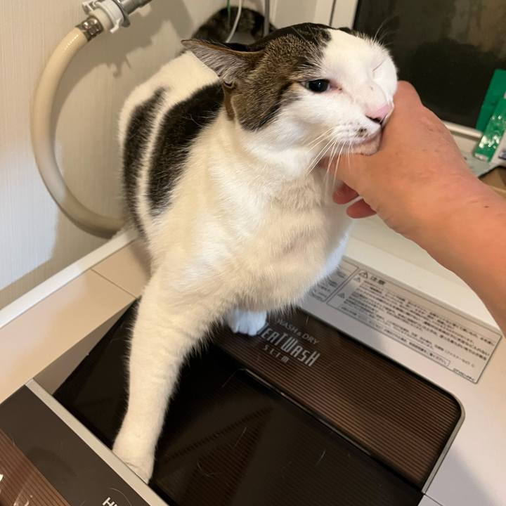 Cc3aa849 ac3b 4b77 b0f3 bcfdd8b64de2 1683762250280