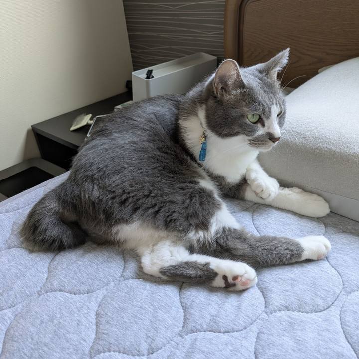 Cc3aee75 a9e3 44d3 b0c9 f63499056328 1756691469454