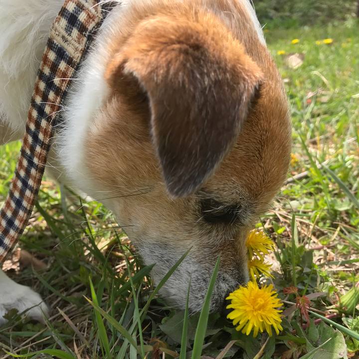 Cc3b1022 9caf 4780 b816 a1f440908992 1587094504670