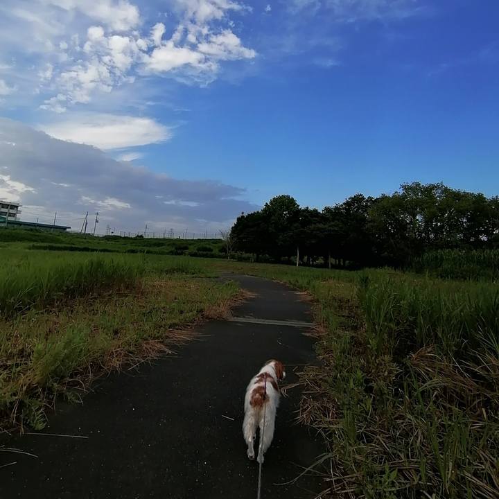 Cc3b1249 bc12 4f18 acd5 ba74ca1b1934 1593560844516