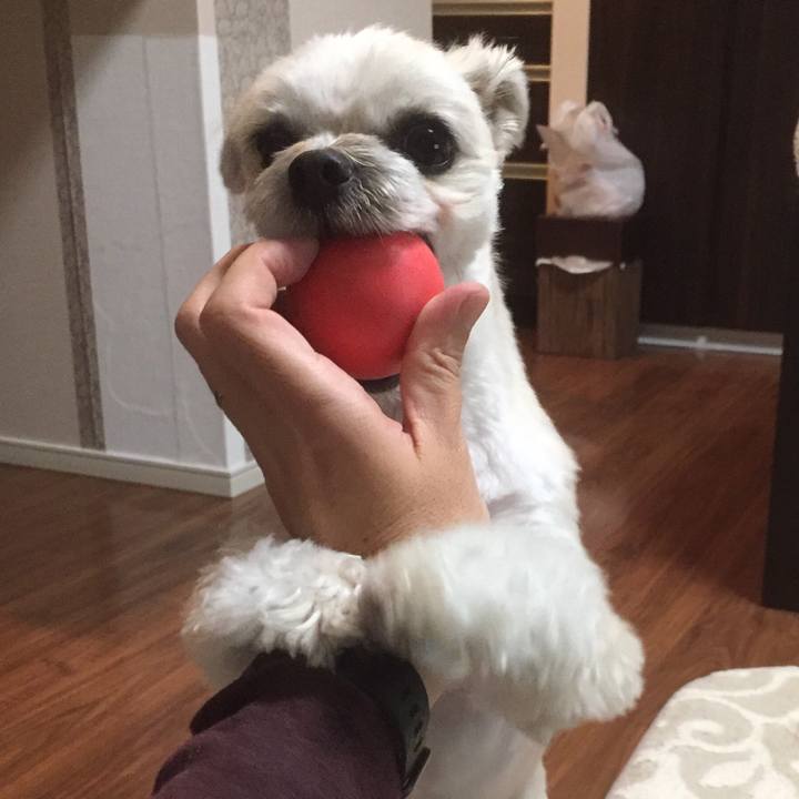 Cc3b27bb 1386 4c4c b98f edf685f06602 1556021007134