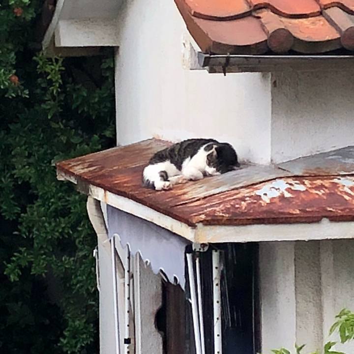 Cc3bc10a f524 4b95 9cac e1ebaf6f5d78 1533736253441