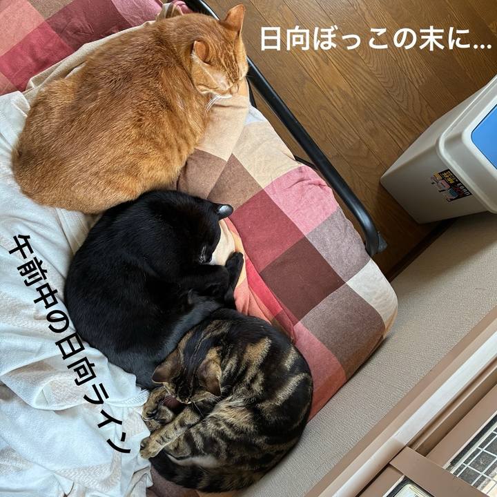 Cc3bdf35 5e25 4e90 96c4 1d60d96693e9 1748751094227