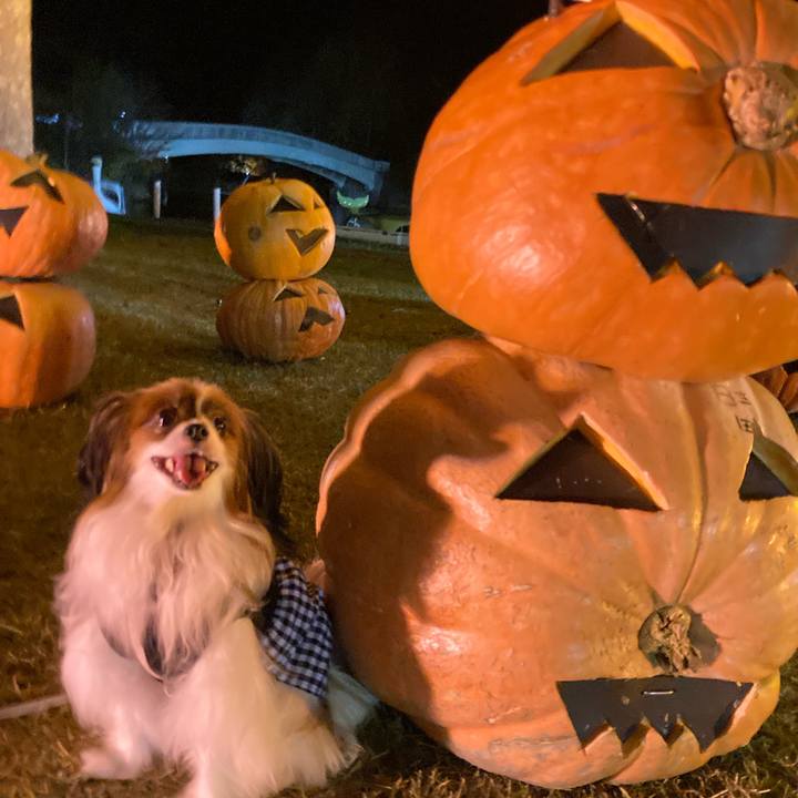 Cc3bdfa2 3408 438c a816 8f830b1909a5 1666440982605