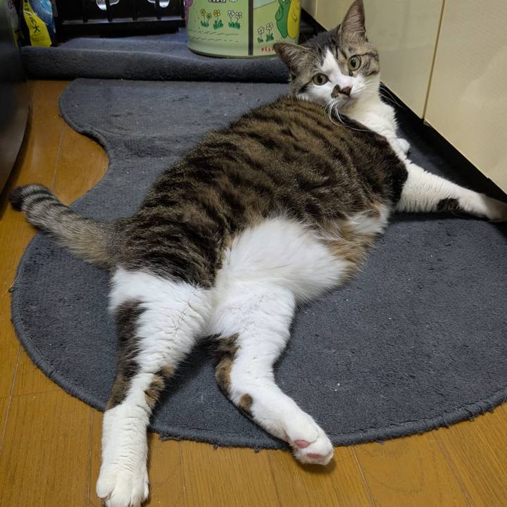 Cc3be5f2 d209 4757 8deb 524185f69707 1740632451632