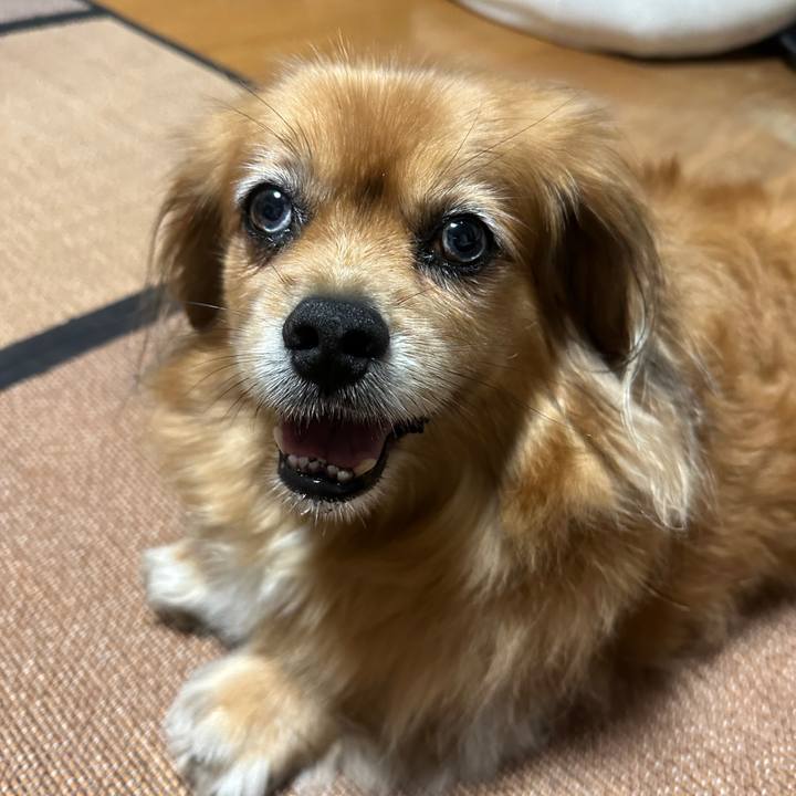 Cc3beb5e a2e9 48ec 890f 8a97702f759d 1752364401274