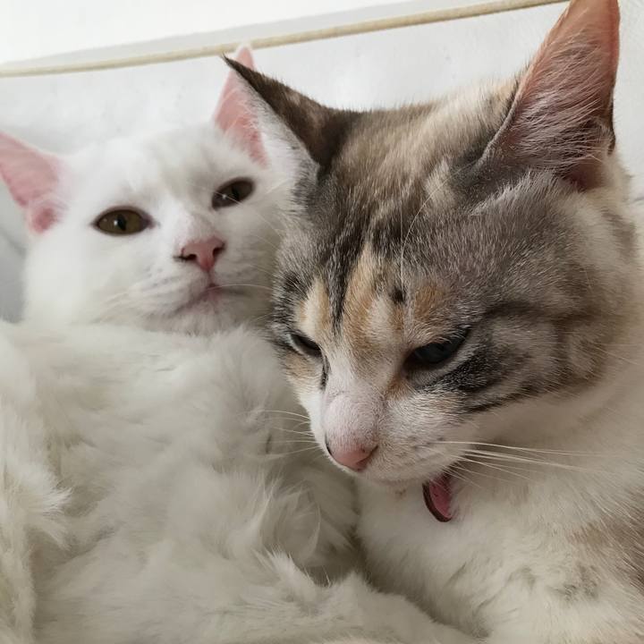 Cc3c9fdf f149 42ee 9f36 e575bdda15b5 1515123115831