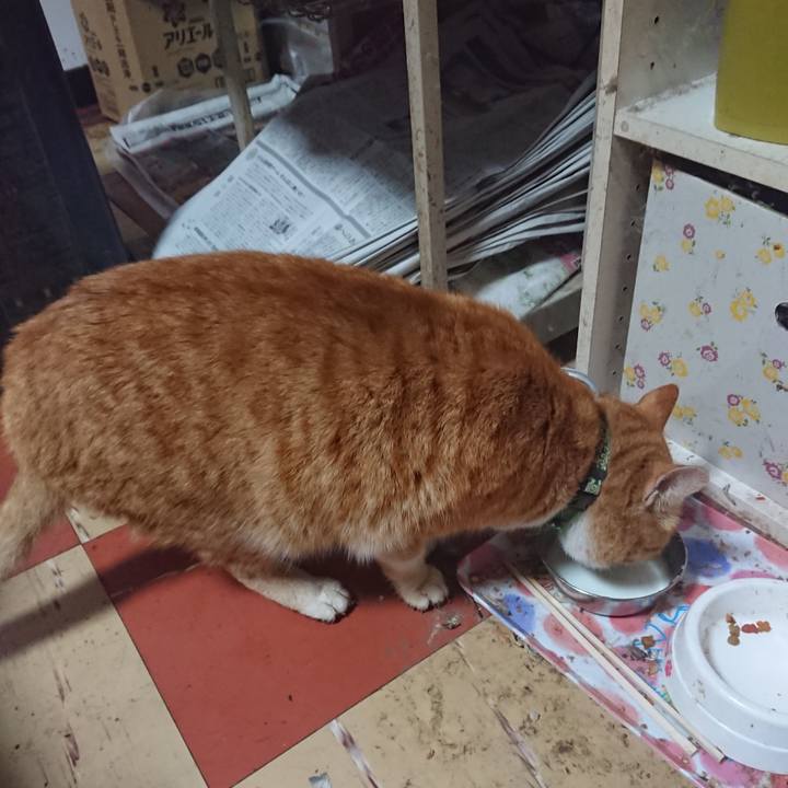 Cc3cc7e0 4cf8 49be 9c76 1ce55a8ed459 1582330259244