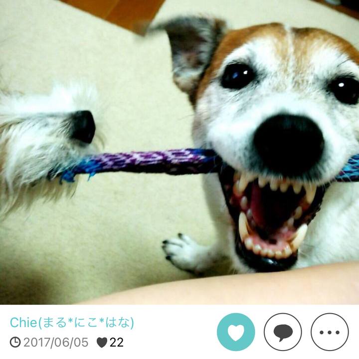 Cc3cc9ab 5cb2 4c07 aa78 7830987a2f5b 1654520074170