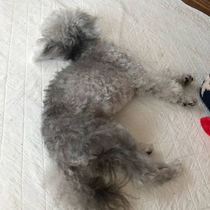 Cc3d2d29 5ac8 4527 94e3 dcb1ec320c64 1629860829844