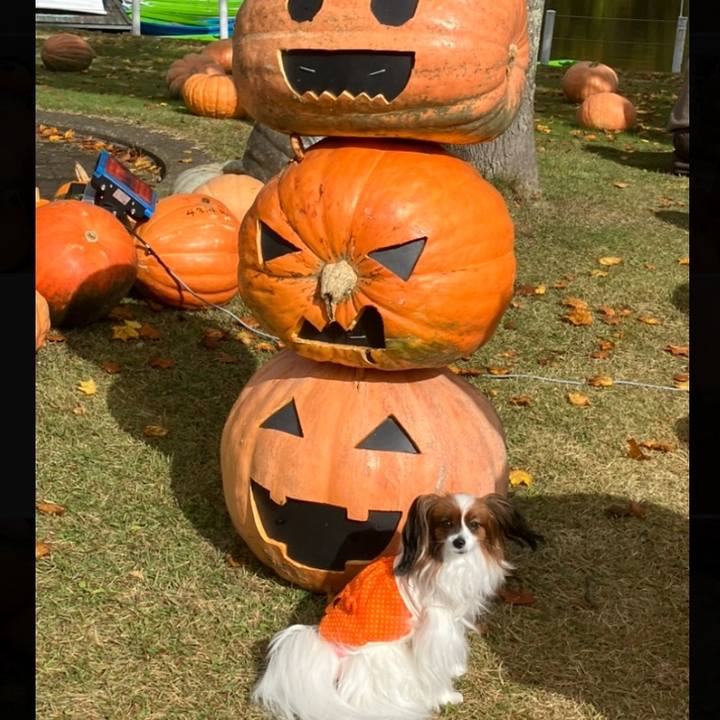 Cc3d3223 31bb 4683 8db2 04ca3f2fd3f9 1697958838685