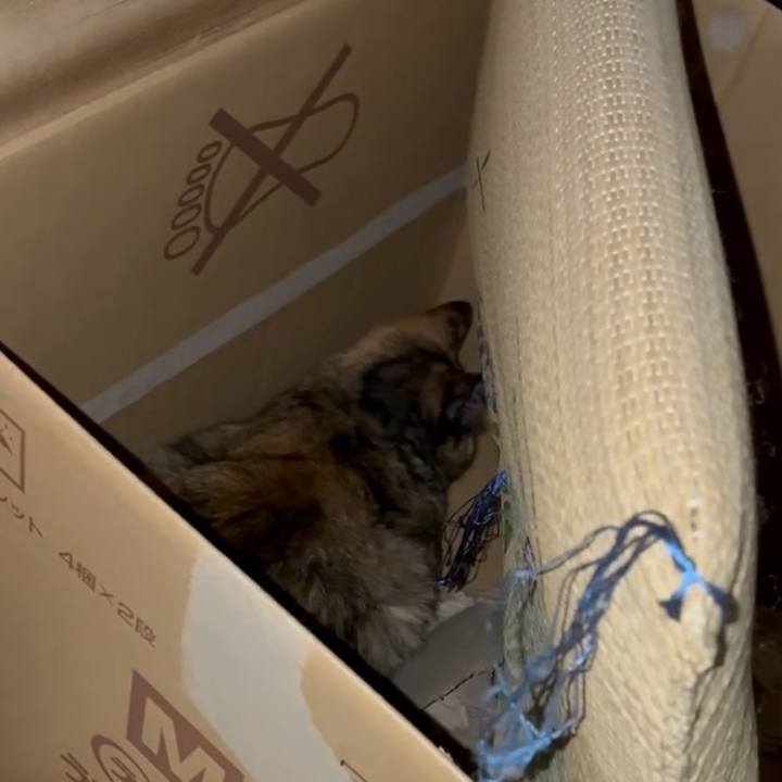 Cc3d4062 1c13 4a65 aa32 33cc6f1aff69 1751144668954