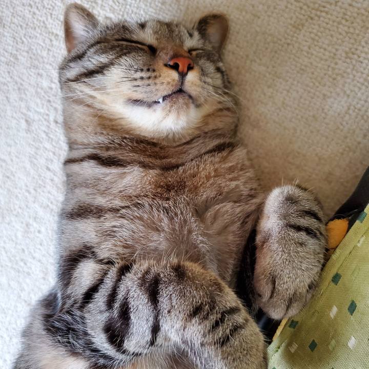 Cc3d438d 6218 4235 9c3f f29e61687236 1708966234655