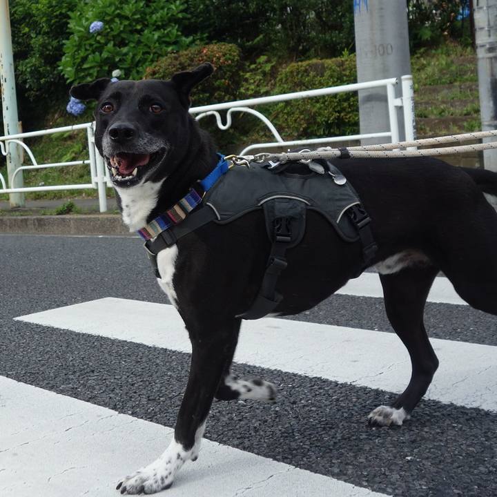 Cc3d6bc2 a29c 4534 ae30 687d9bffa82a 1655425379309