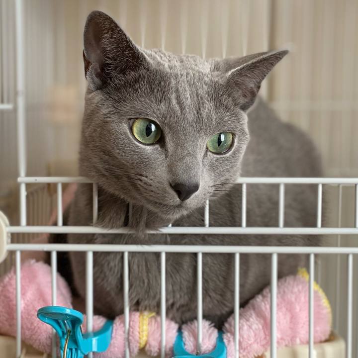 Cc3d8252 07e3 4f99 a975 96258a029197 1646266497610