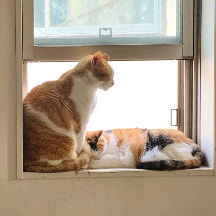 Cc3d99c7 6b17 467c 8cbd b7b808a919b7 1664373335513