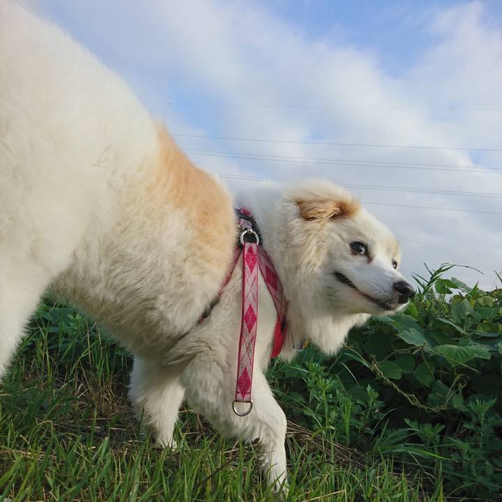 Cc3d9cec d6cd 4f01 8256 e27d7fe84730 1532987398290