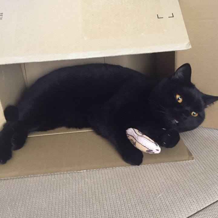 Cc3db7fe 52de 46f1 b492 6de31a587541 1522916867255