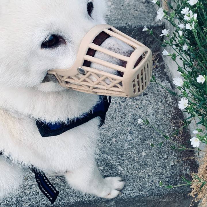 Cc3dc4ef d2a1 42f5 9b3a 8aef93166806 1621543534793