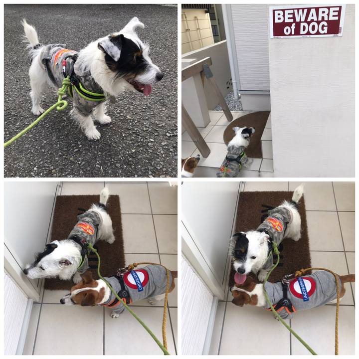 Cc3de38a c5df 4ea4 b88d a2e5545332dd 1540518343516