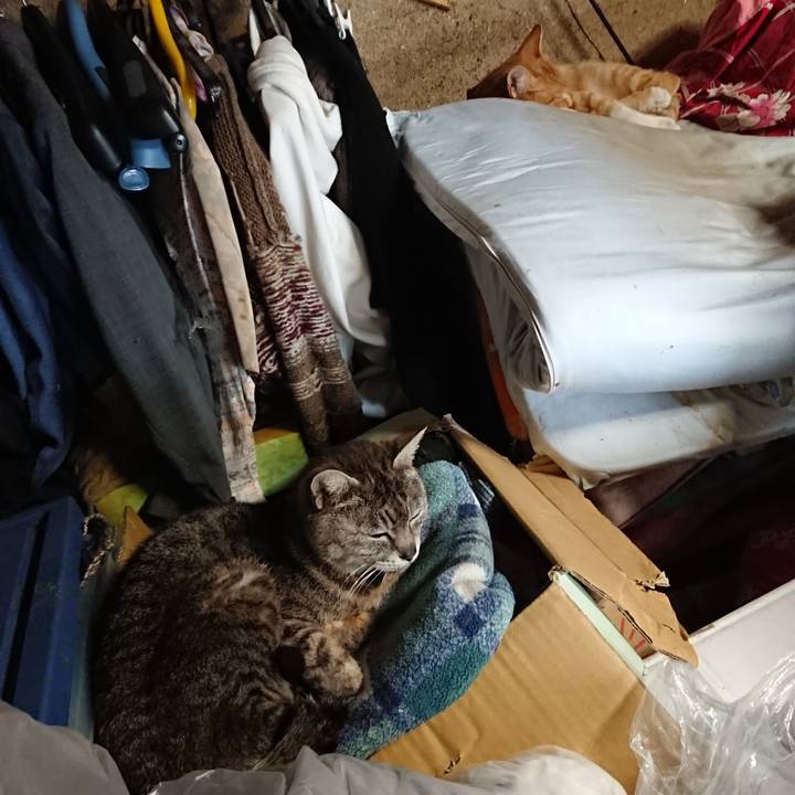 Cc3e1e15 fc0d 443b 93ba c5165dc53520 1560567103712