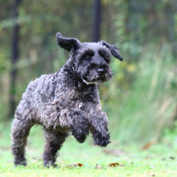 Cc3e3447 d277 4c86 96fd 4c3c16153592 1575420995885