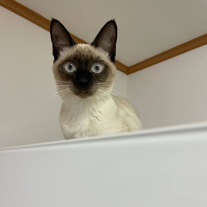 Cc3e497b be34 43b1 b59c 51f2758be592 1701027586348