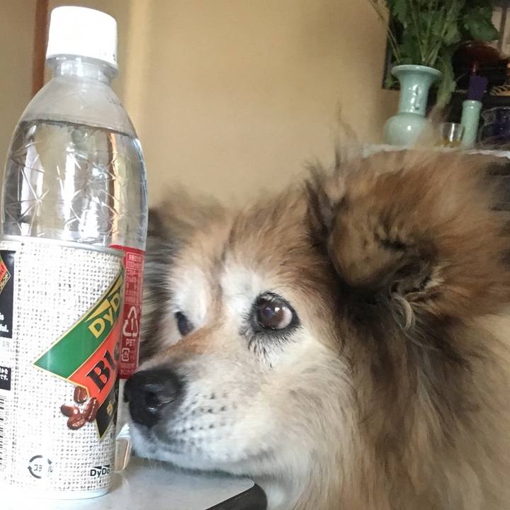 Cc3eb5a0 19ae 4abf 84bc 3cb572d71740 1579135413340