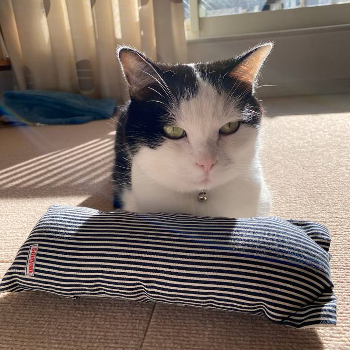 Cc3eb9c4 62fc 4087 b153 ae2b098da030 1765925401077