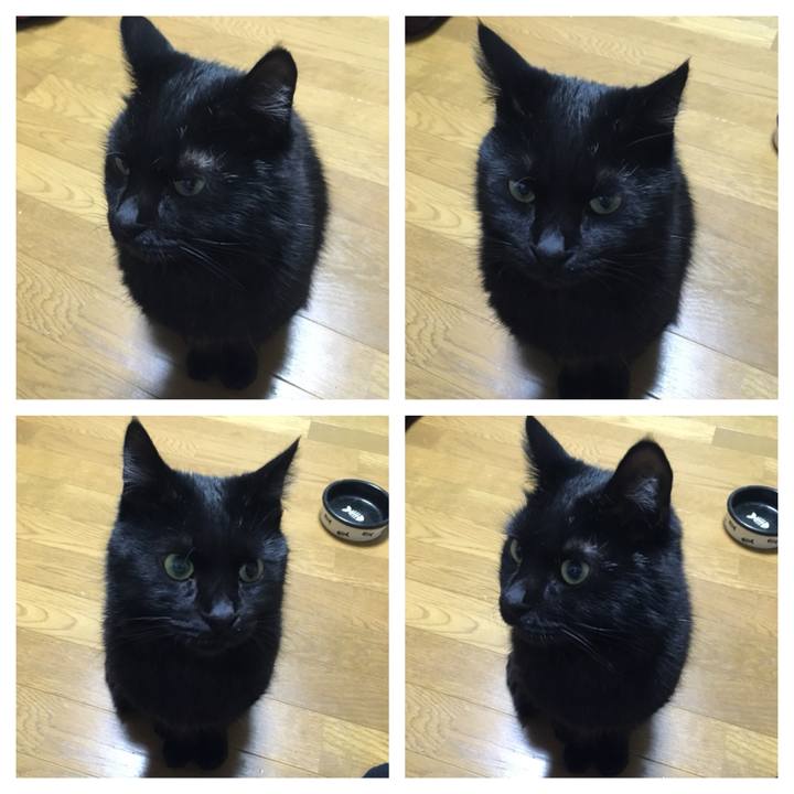 Cc3f07cd 4e42 4373 9dd3 0cf1ebbe398a 1541499011573