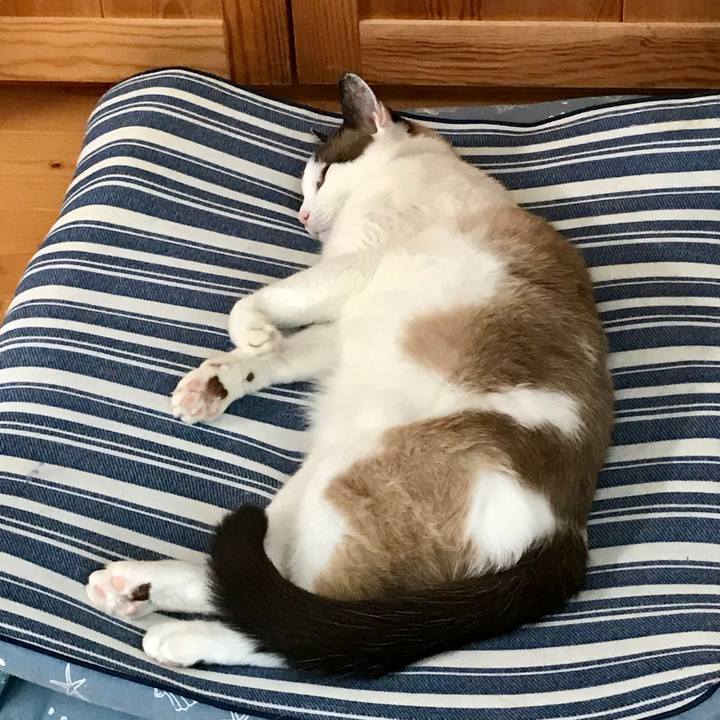 Cc3f1ff9 b195 40c2 b9da 461f30be0720 1594443110916