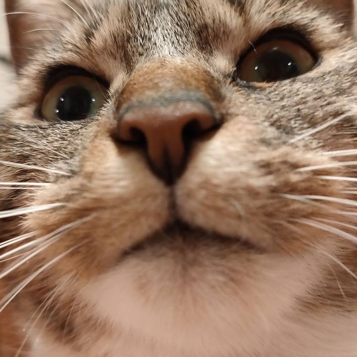 Cc3f446f 324b 450b 8a44 5428a43da588 1678108125257