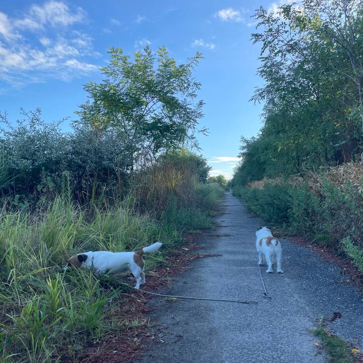 Cc3f4651 5252 4743 81df 349af09c3071 1694212730886