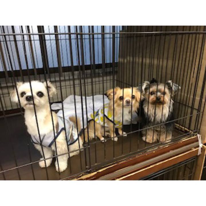 Cc3f5265 edfa 46ac 8eab ac49d8cdf497 1560417157574