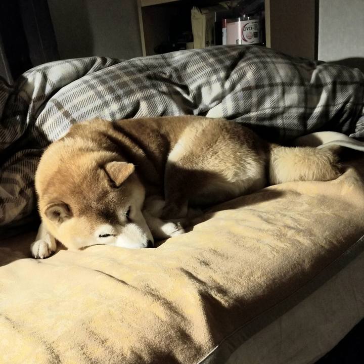 Cc3f79d9 3007 46cb b9da 93cd87f11413 1638625856321