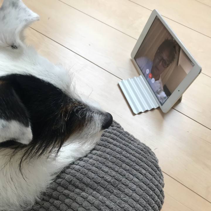 Cc3f8825 ccec 413b 917e 3acfe088cca5 1525753024982