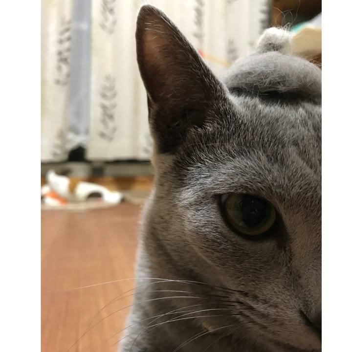 Cc3f944d eace 40ae a68a ff9c9d69eb38 1523971039730