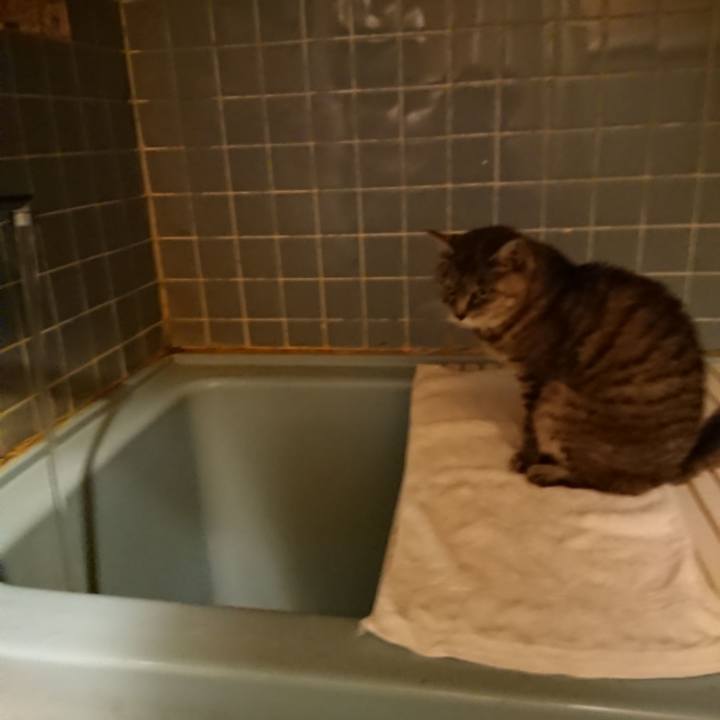 Cc3fc415 e2c9 405a 8de7 32cb9662bc20 1571907511867