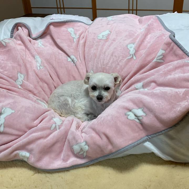 Cc3fe0b2 514e 4a7f a037 8ae05ea08164 1605611331138