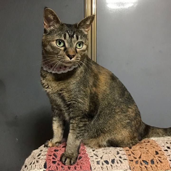 Cc407ba5 095b 4547 9ba9 16fd189f8f90 1748866268415