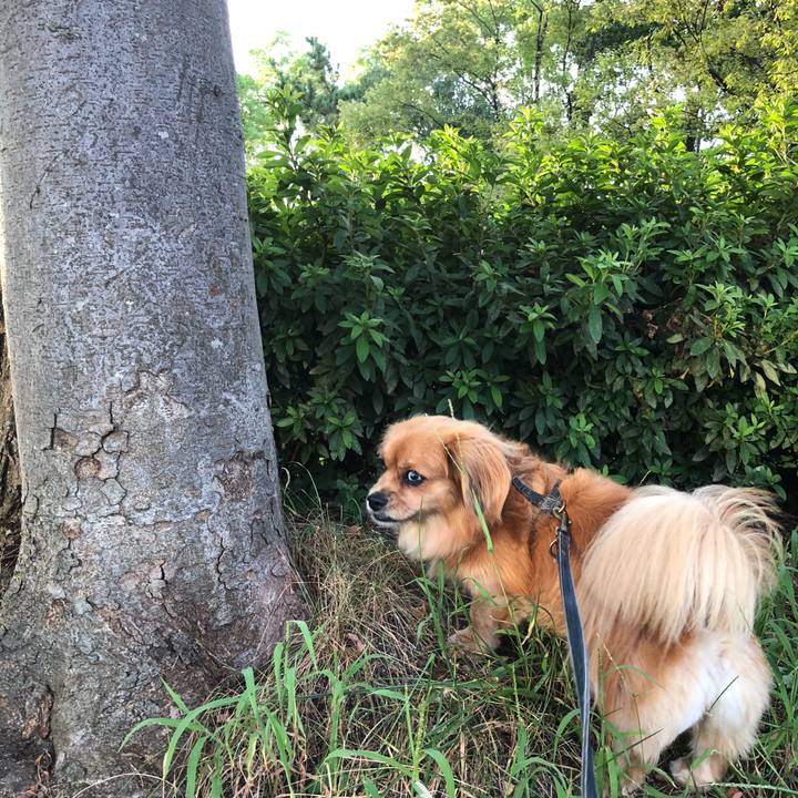 Cc409f50 daa1 4027 a69d 10be58bf85ae 1568670615853