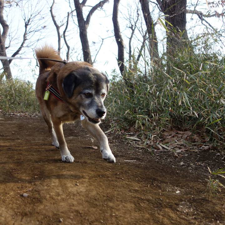 Cc40d704 bd7e 4f9b a735 29a5efcbed50 1658447947340