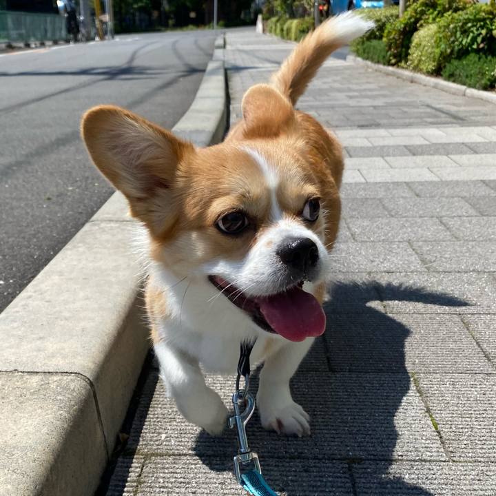 Cc410a4e dace 4e53 a557 f9e294aa5e2f 1590718464048