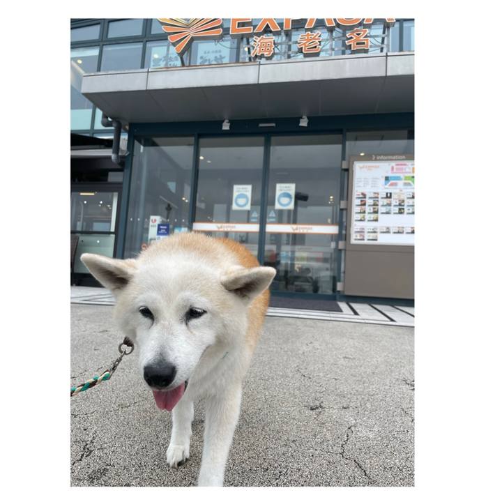 Cc41184b a997 4dc2 8209 90d22930a3b9 1663893168376