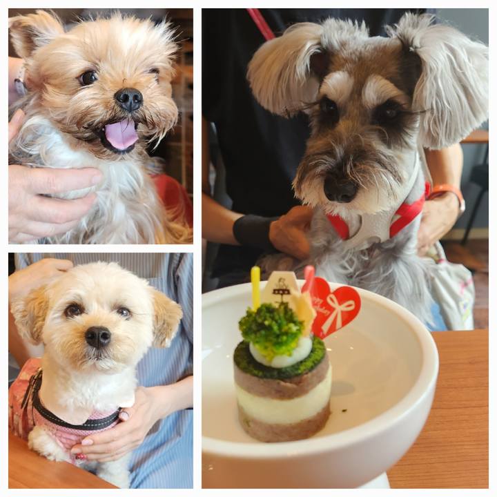 Cc412c7d 4133 4640 8e9b 6c3d472177da 1749951136189