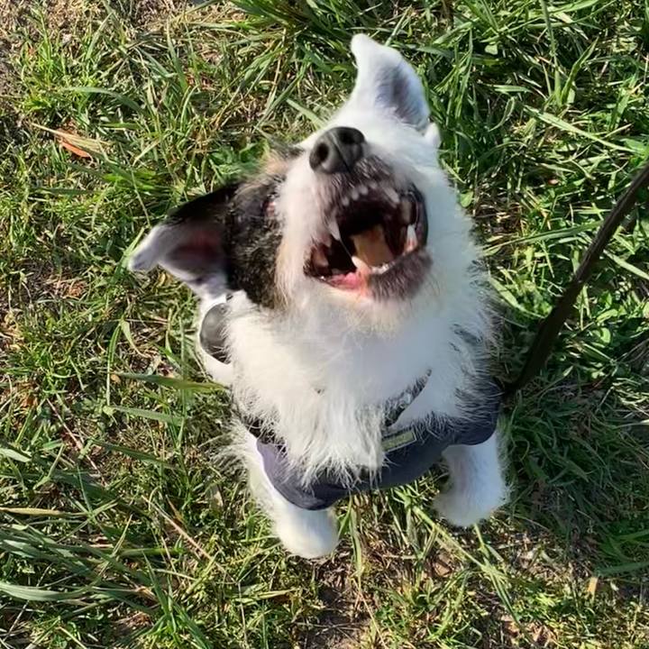 Cc41427c b528 4060 b506 469864750393 1713338732165